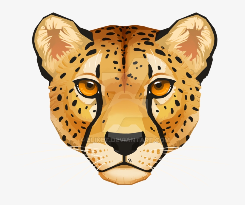 Cheetah Face Png, transparent png