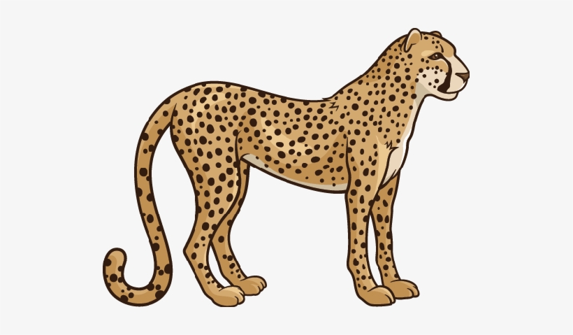 Cheetah Clipart Transparent - Cheetah Clipart, transparent png