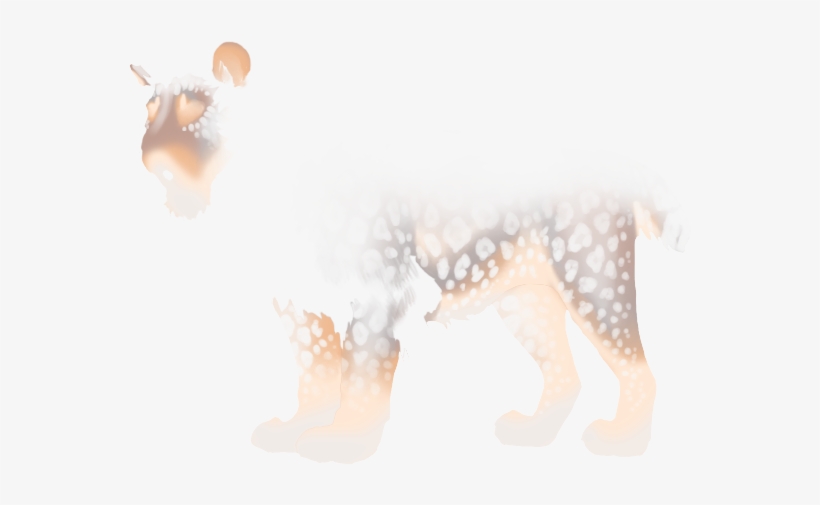 Cheetah, transparent png