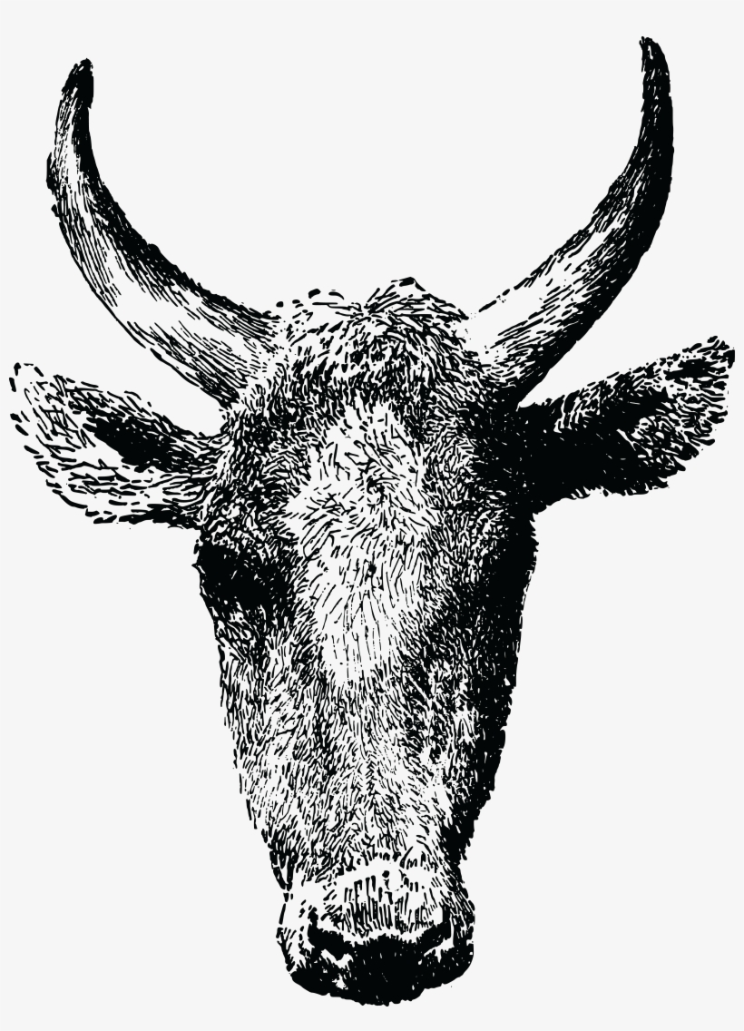 , , - Cow Head, transparent png