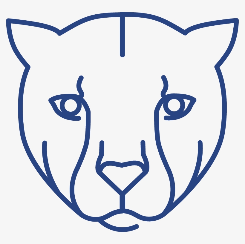 Cheetah Value, transparent png
