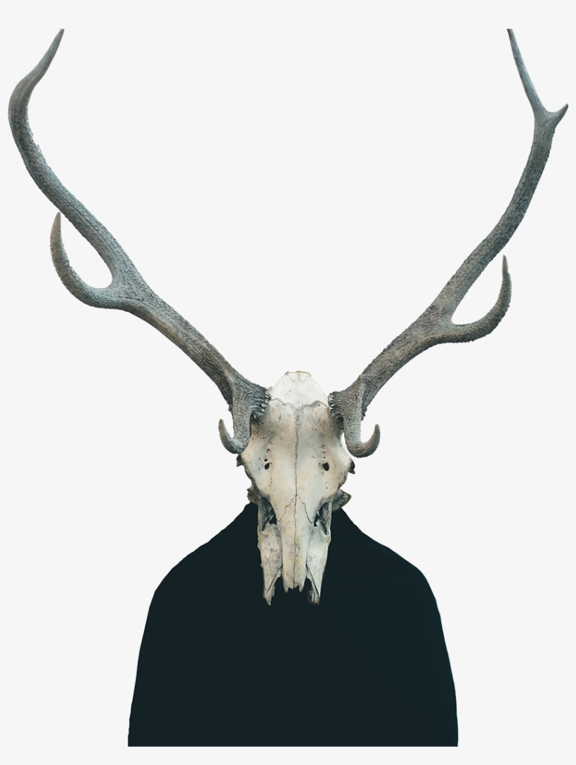 Cowhead1080p-trans - Ronnie Eaton & Cold Hard Truth - Cold; Hard Truth, transparent png