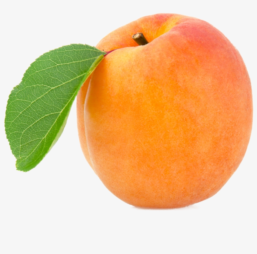 Apricot Png, transparent png
