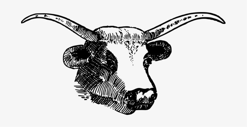 Animal Bovine Bull Cow Farm Head Horns Bul - Clipart Horns, transparent png