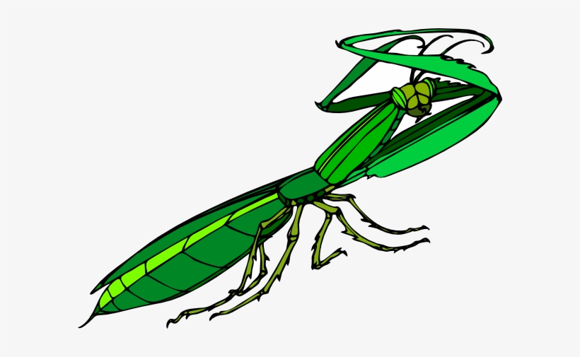How To Set Use Cartoon Praying Mantis Icon Png, transparent png