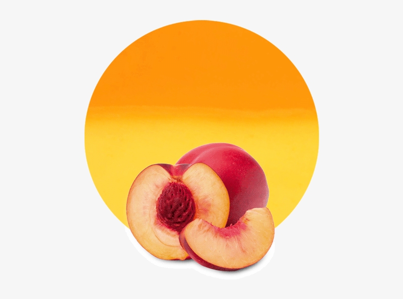 Apricot Nectarine Purees Are Perfect For Use In The - Fruit And Vegetables One Cut In Half, transparent png
