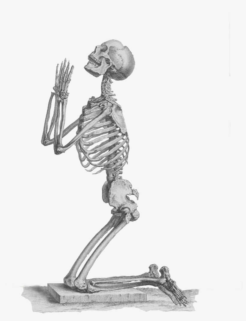 [ Img] - Poetry Lesson By Andrei Codrescu, transparent png