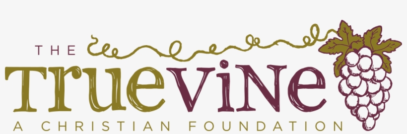True Vine Foundation Logo - Time Spent Family Wall Box Sign - Pack, transparent png