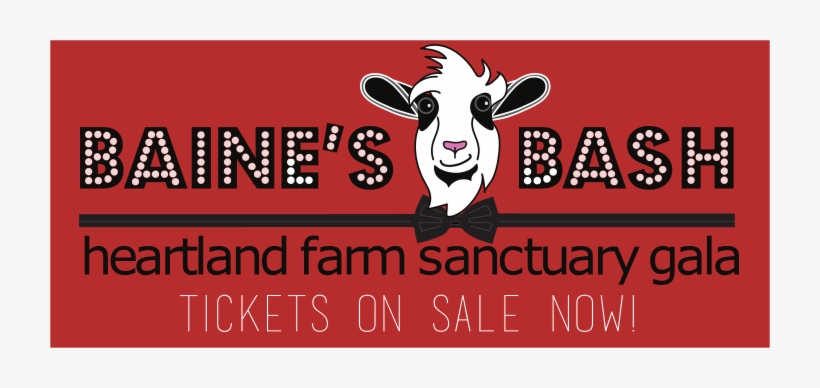 Thank You To Our Gala 2017 Auction Donors - Castration Celebration, transparent png
