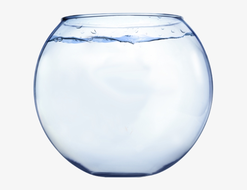 Fish Out Of - Glass Fish Bowl Png, transparent png