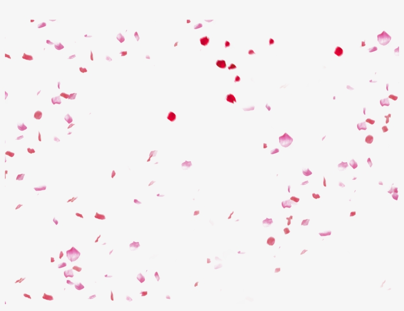 Fundal Adobe Peach Petals Festival Flowers Fall - Falling Pink Png Petals, transparent png