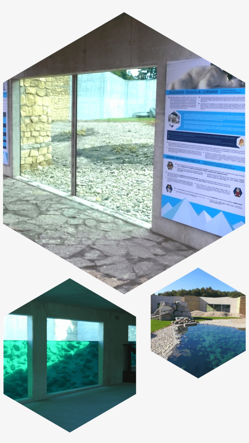 To Support The Construction Of A New Complex, A Major - Floor, transparent png