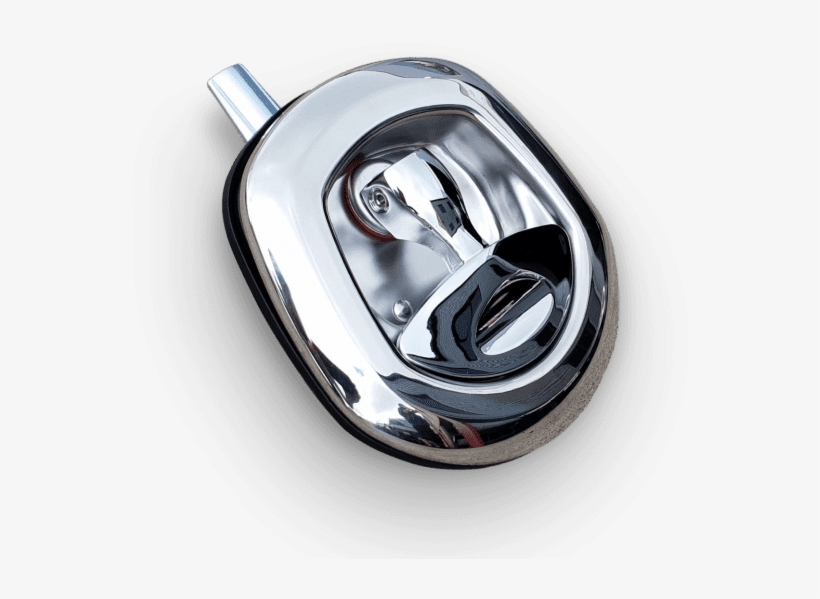 Whale T - Google Chrome, transparent png