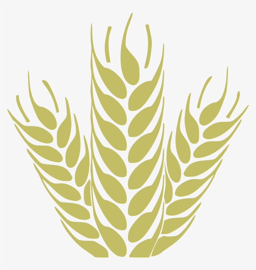 Heypik Support 1 Trego Wheat Easy Edit - Vectores Espigas De Trigo Png, transparent png