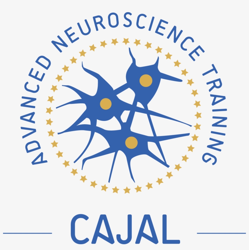 For Enquires, Please Contact - Neuroscience Logos, transparent png