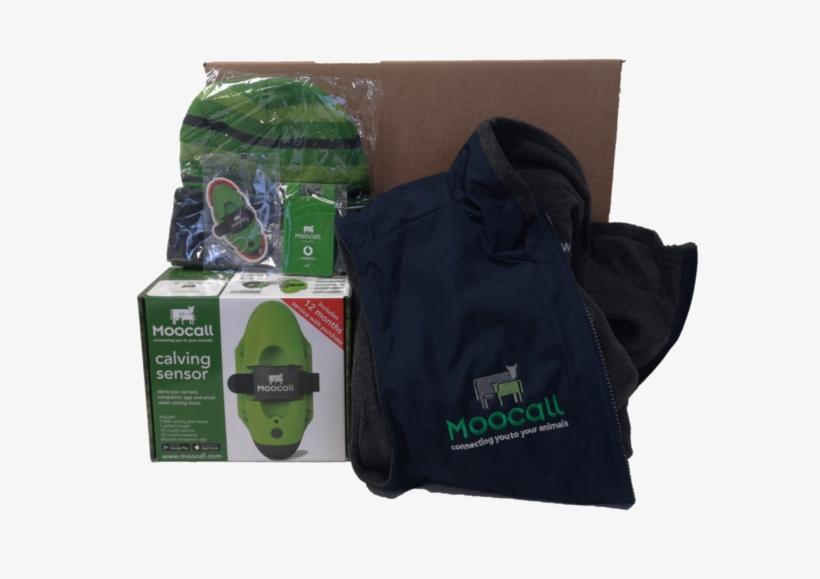 Moocall Christmas Box - Christmas Day, transparent png