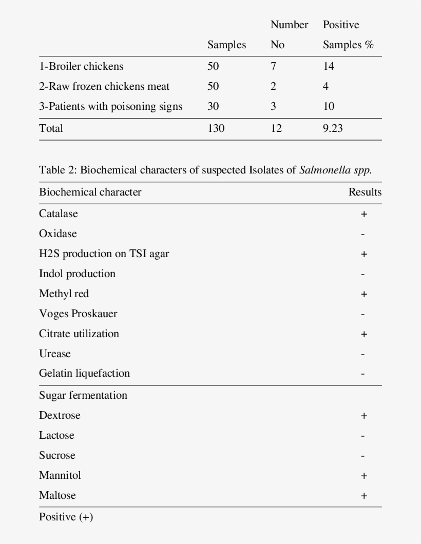 The Prevalence Of Salmonella Isolated From Chicken, - Chicken As Food, transparent png