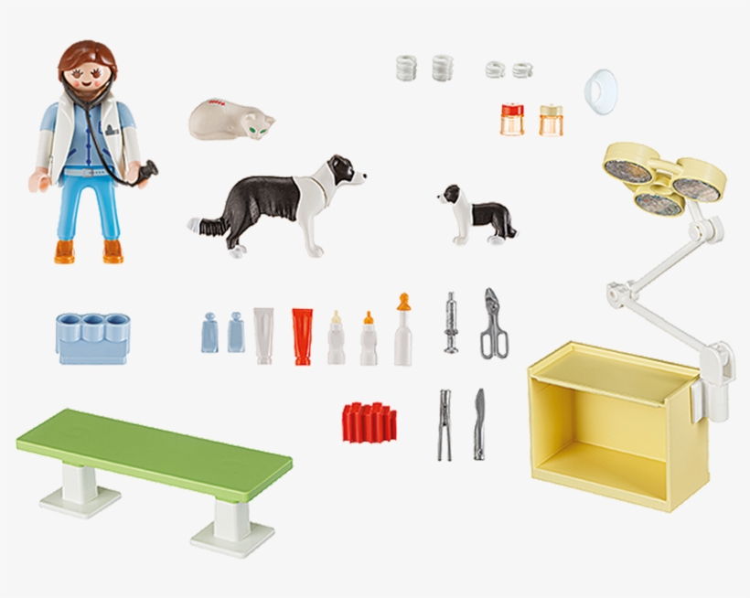 Playmobil City Life 5653 Vet Visit Carry Case Pop Toys - Playmobil 5653, transparent png