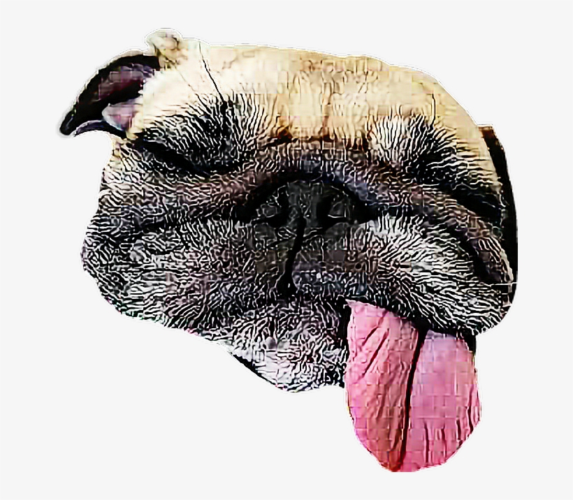 Turkey, transparent png
