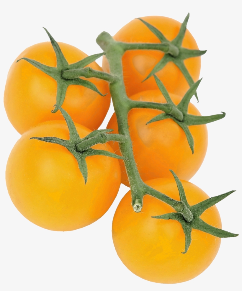 Potato Plant Png, transparent png