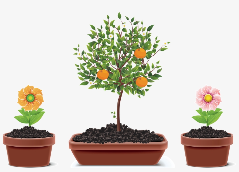 Flowerpot Houseplant Plants Transprent Png Free Download - Seven Secrets Of A Meaningful Life: Find, transparent png