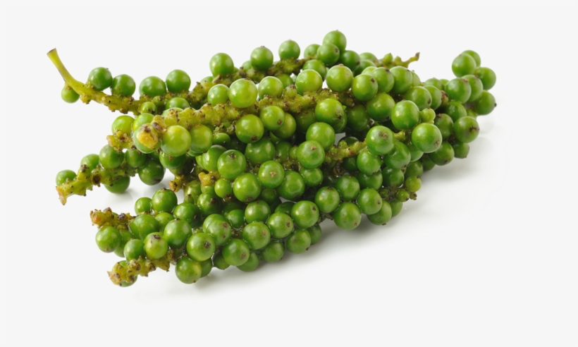 Green Pepper Pluspng - พริกไทย อ่อน, transparent png