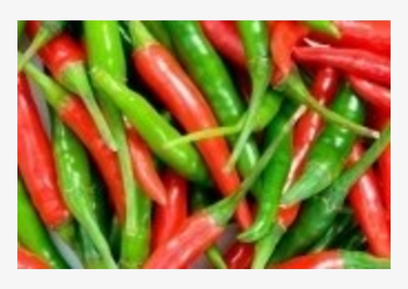 Peppers Jalapeno 60g/40r 1/8in Diced, transparent png