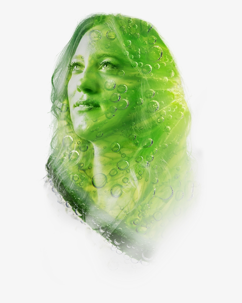What's New On Facebook, transparent png