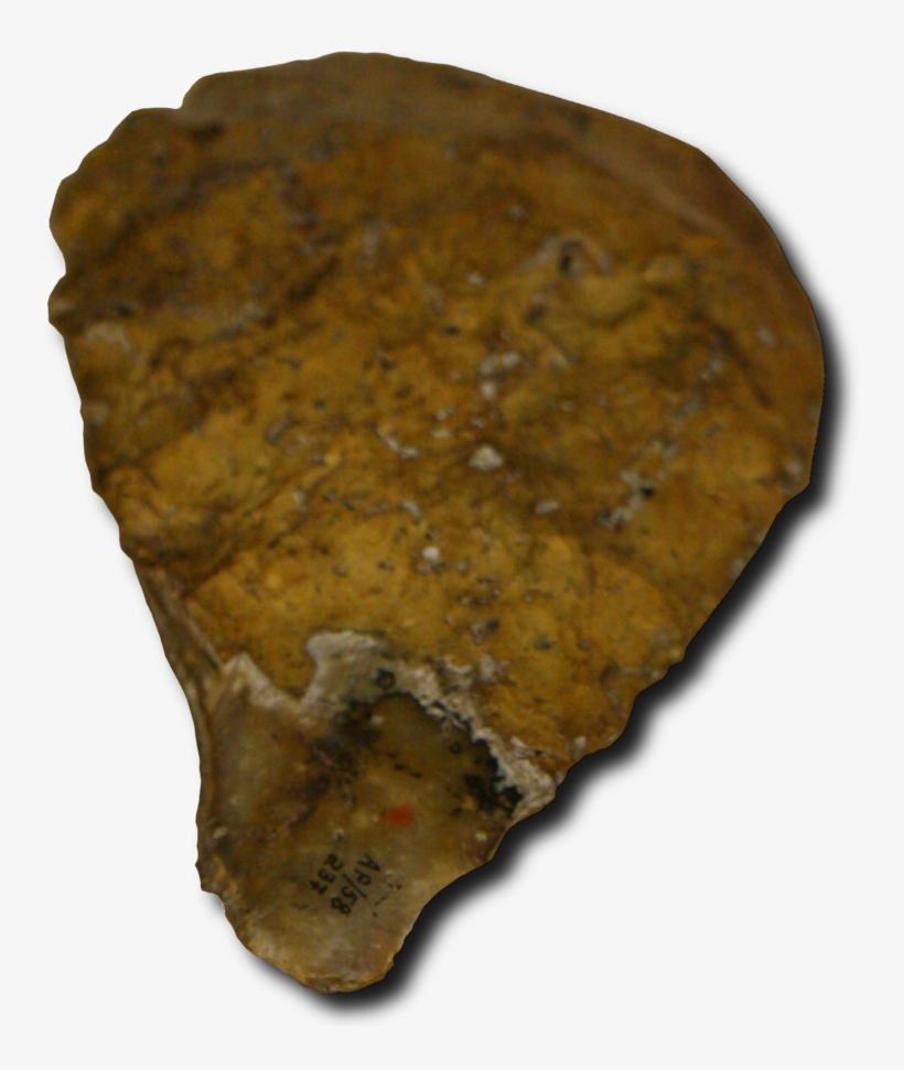 Enlarge - Abri Pataud, transparent png