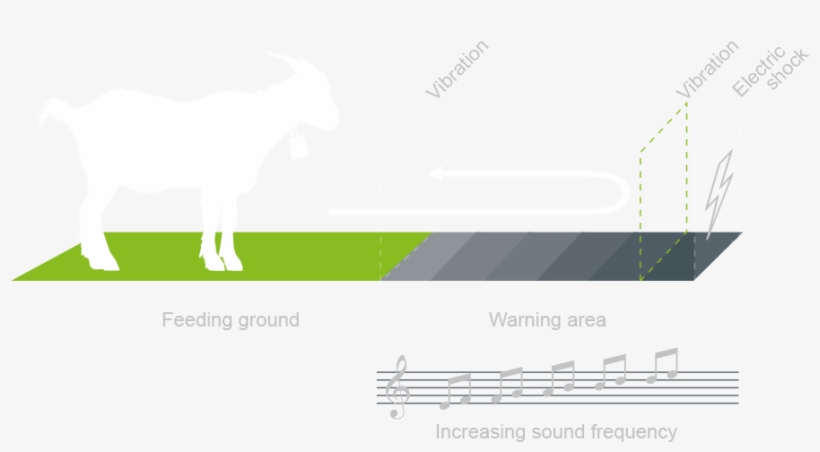 If The Increasing Sound Frequency And Vibrations Are - Diagram, transparent png