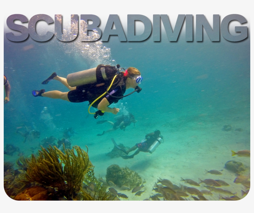 Come Discover Bliss Where Nature And Mysticism Blend, transparent png