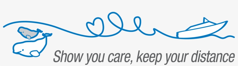 Logo Beluga Bateau Moteur Rgb Ang Grand - Boat, transparent png