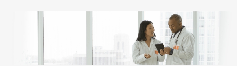 What Is Certification - Girl, transparent png