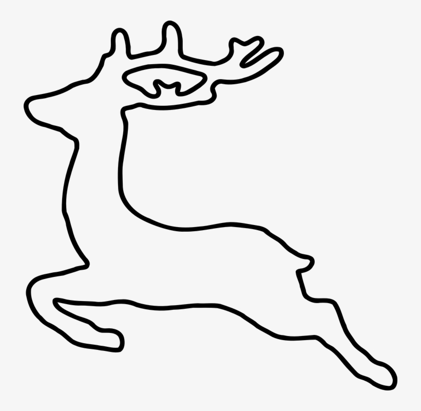 Deer, Jumping, Animal, Running, Running Away, transparent png