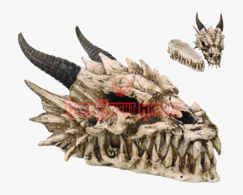 Dragon Skull Box - Dragon Skull, transparent png
