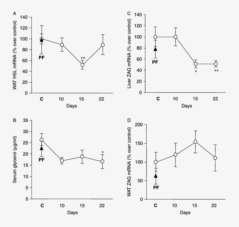 Download - Hormone-sensitive Lipase, transparent png