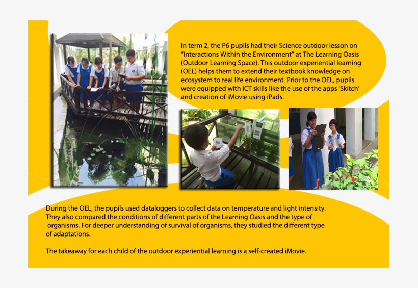 Outdoor Learning For P6 - Poster, transparent png