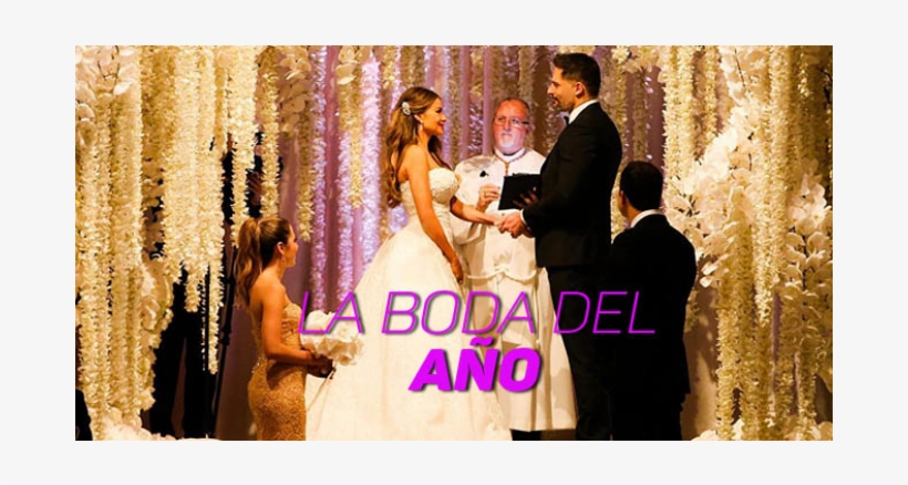 Sofia Vergara First Wedding Dress, transparent png