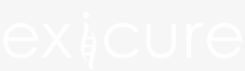 Graphic Design, transparent png