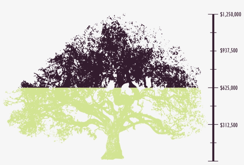 We Invite The Rancho Santa Ana Botanic Garden Community - Oak, transparent png