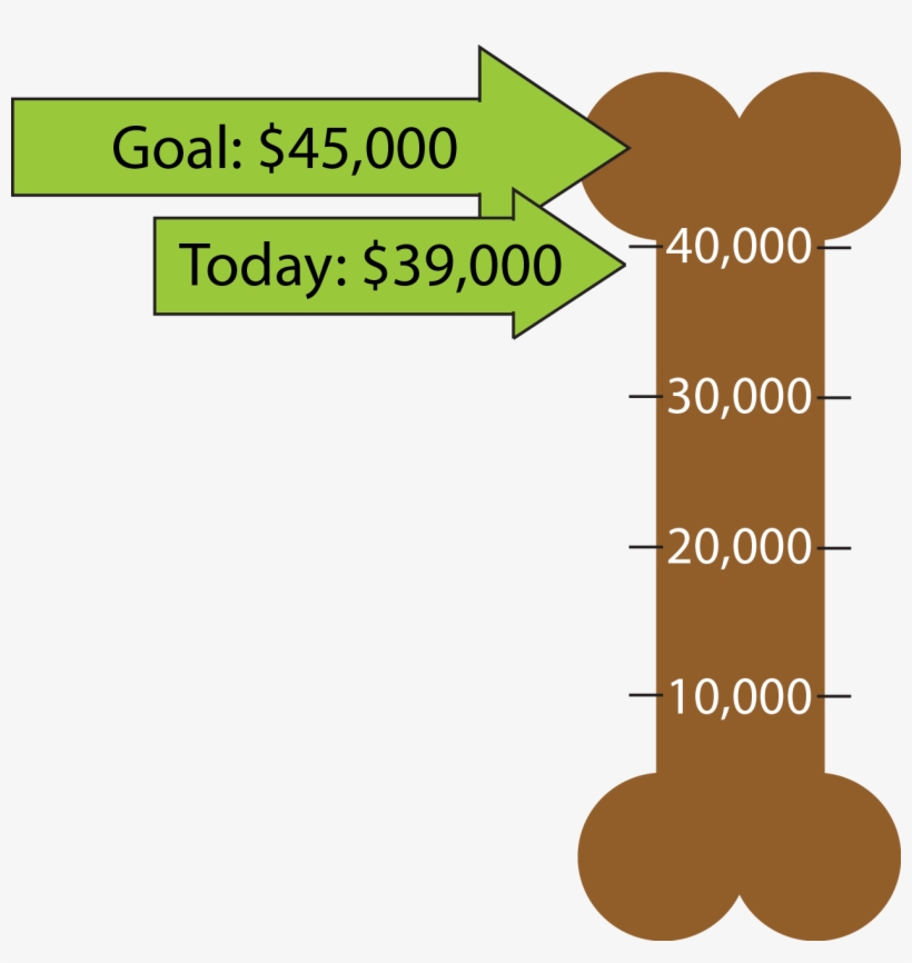 Cameron Park Goal, transparent png