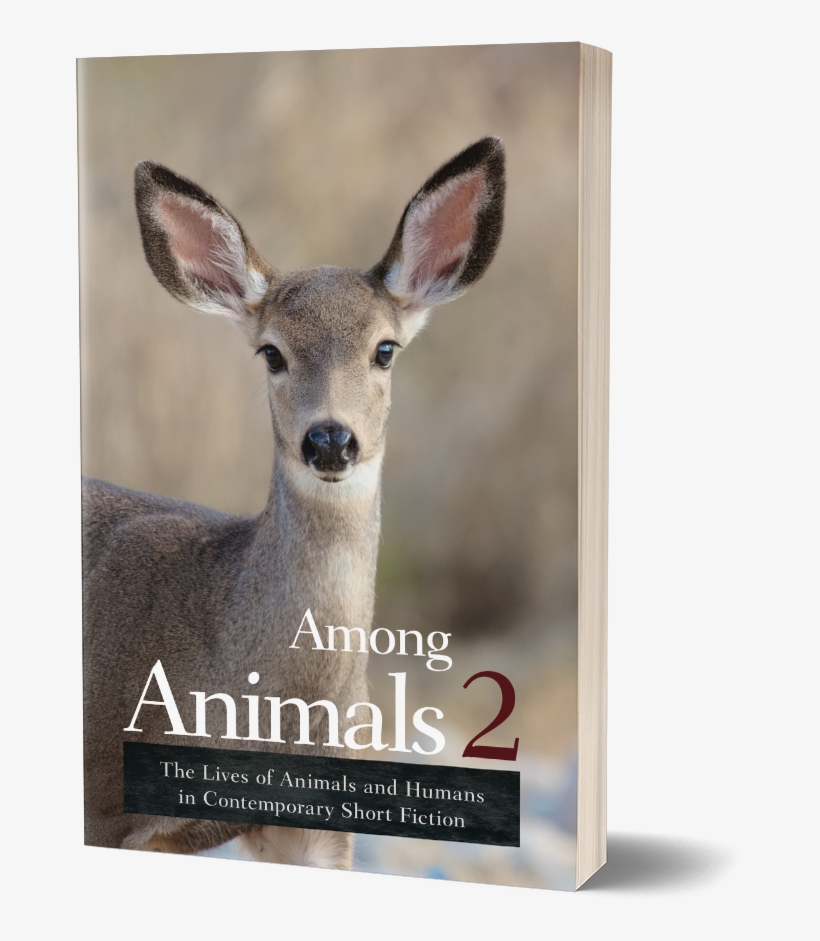 Among Animals - Among Animals 2: The Lives Of Animals, transparent png