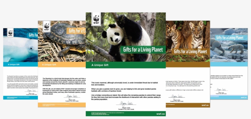 Cadeaux Virtuels - 1000 Piece Puzzle - Pandas, transparent png