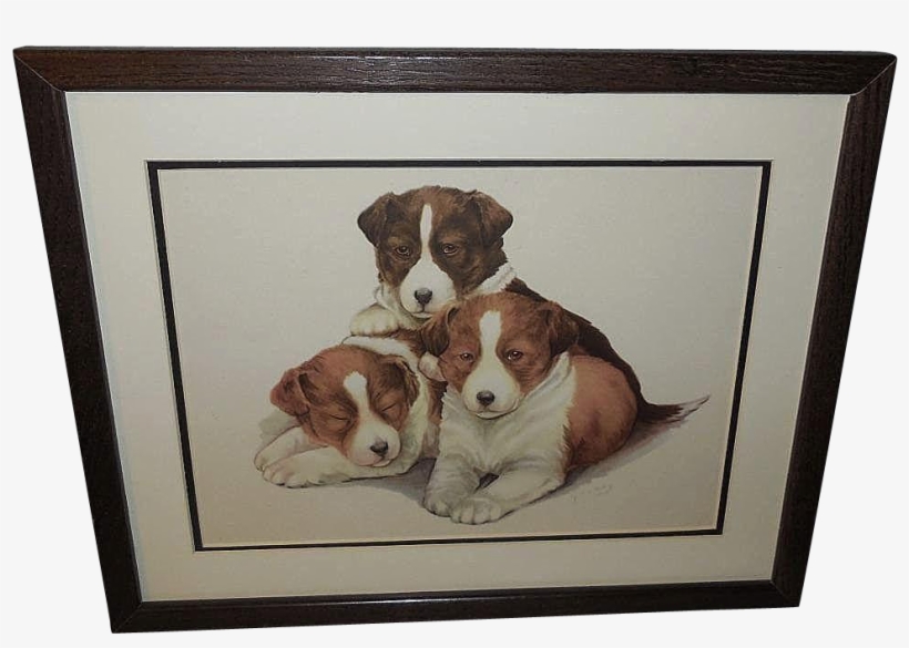 Artist - Serbian Tricolour Hound, transparent png