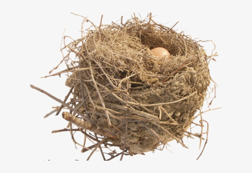 Nest Clipart Transparent Background - Cachitos De Vida, transparent png