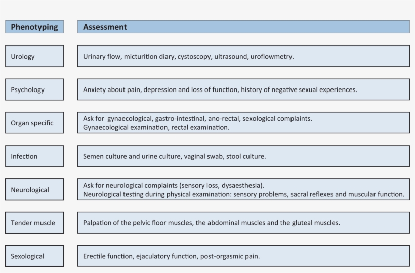 Other Painful Conditions Without A Urological Cause - Pain Classification Diagnosis, transparent png
