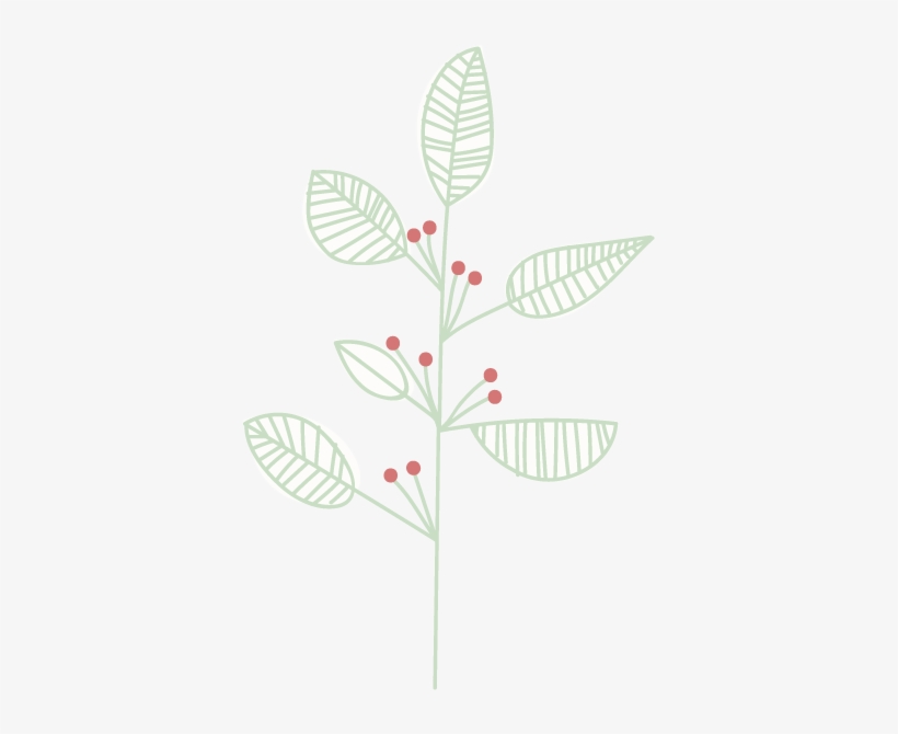 Gym Web Elements-red Berries, transparent png