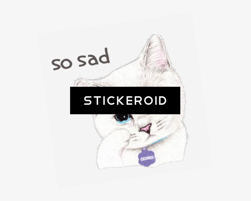 Sad Girl In Front Of Laptop - Duke Nukem Forever Box Art, transparent png