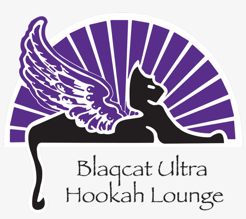 Blaqcat Ultra Hookah Lounge Where Your Complete Satisfaction - Low Vs High Risk, transparent png