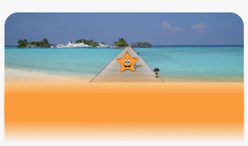Beach, transparent png